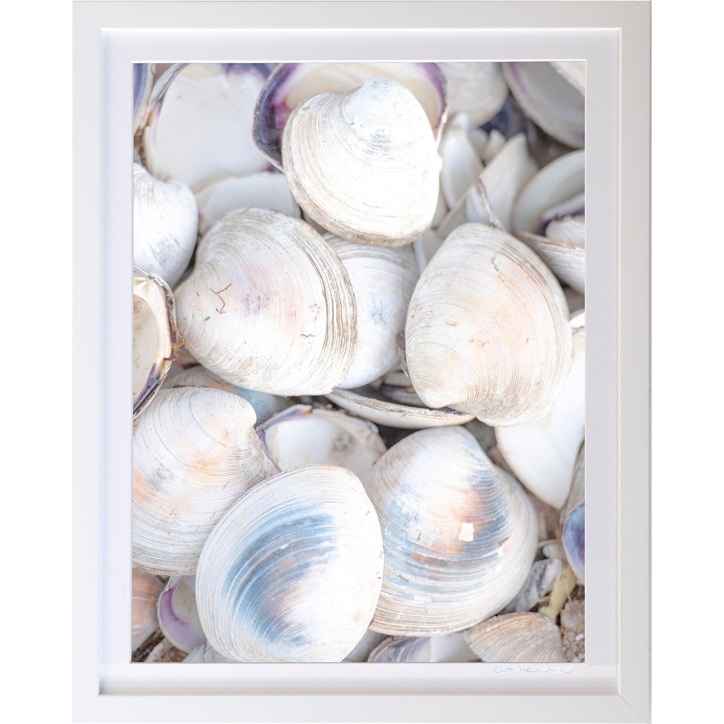 *Mini Prints–Large Horizontal