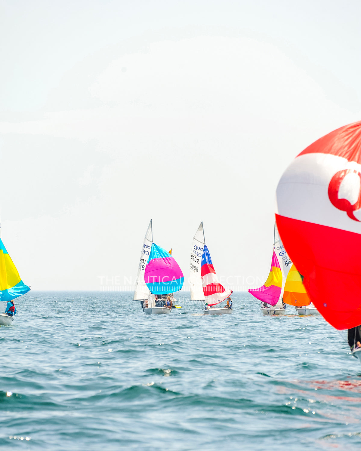 SHYC Regatta 22