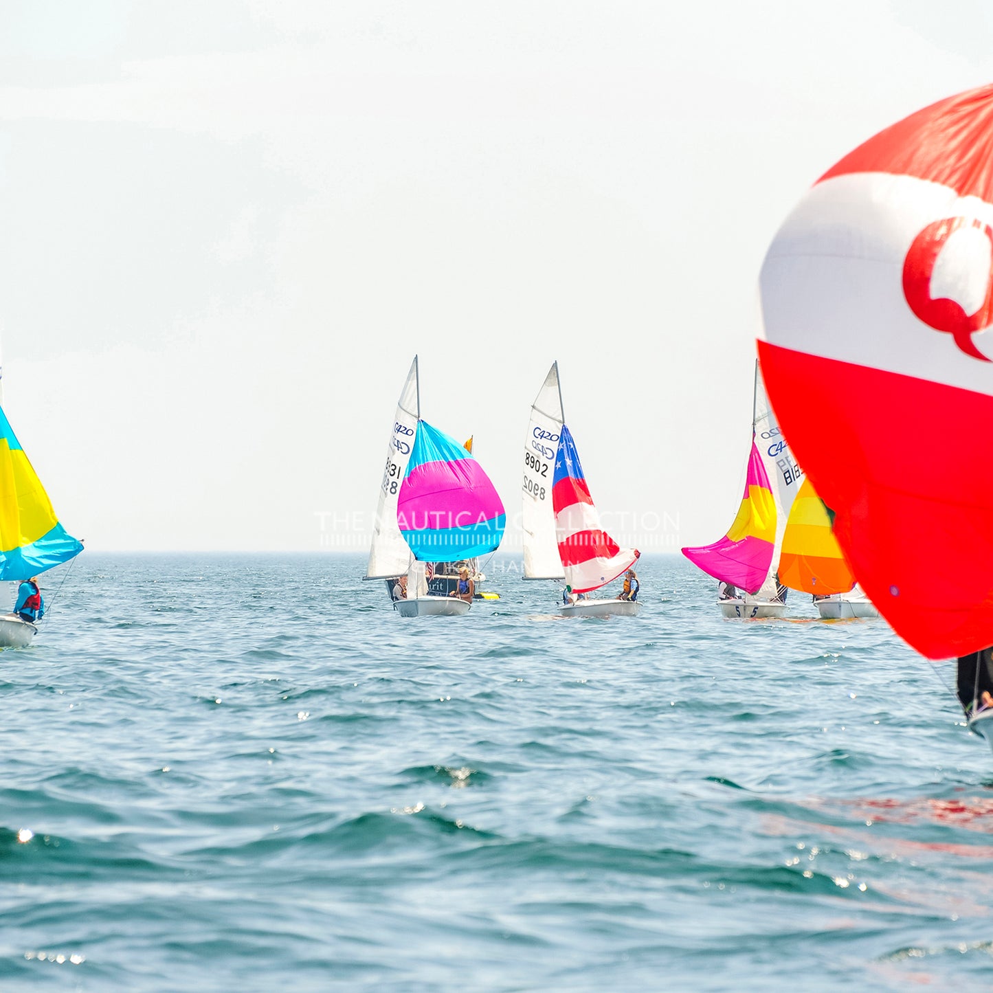 SHYC Regatta 22