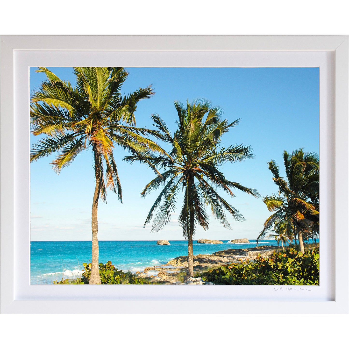 *Mini Prints–Large Horizontal