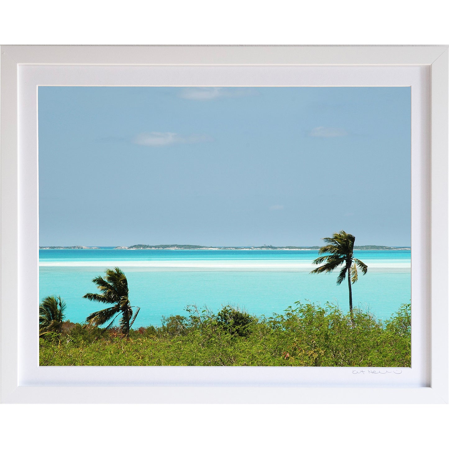 *Mini Prints–Large Horizontal