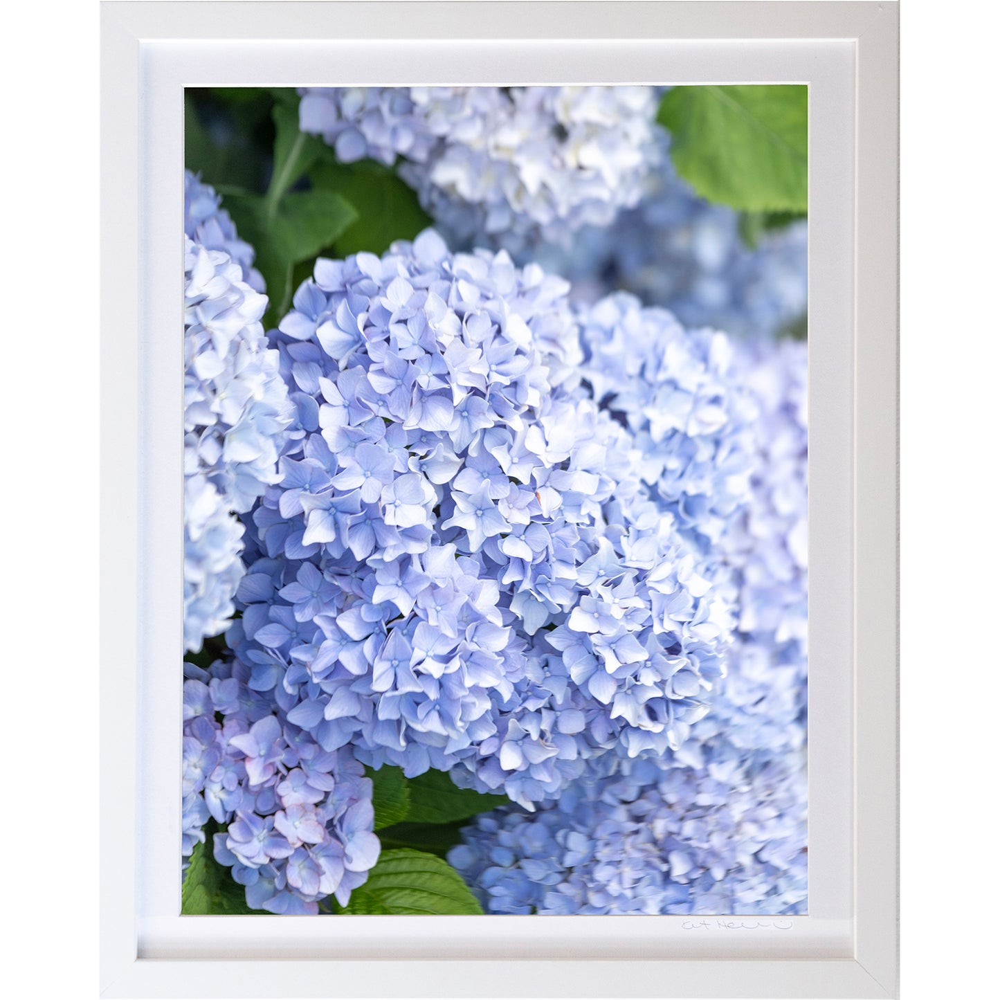*Mini Prints–Large Vertical