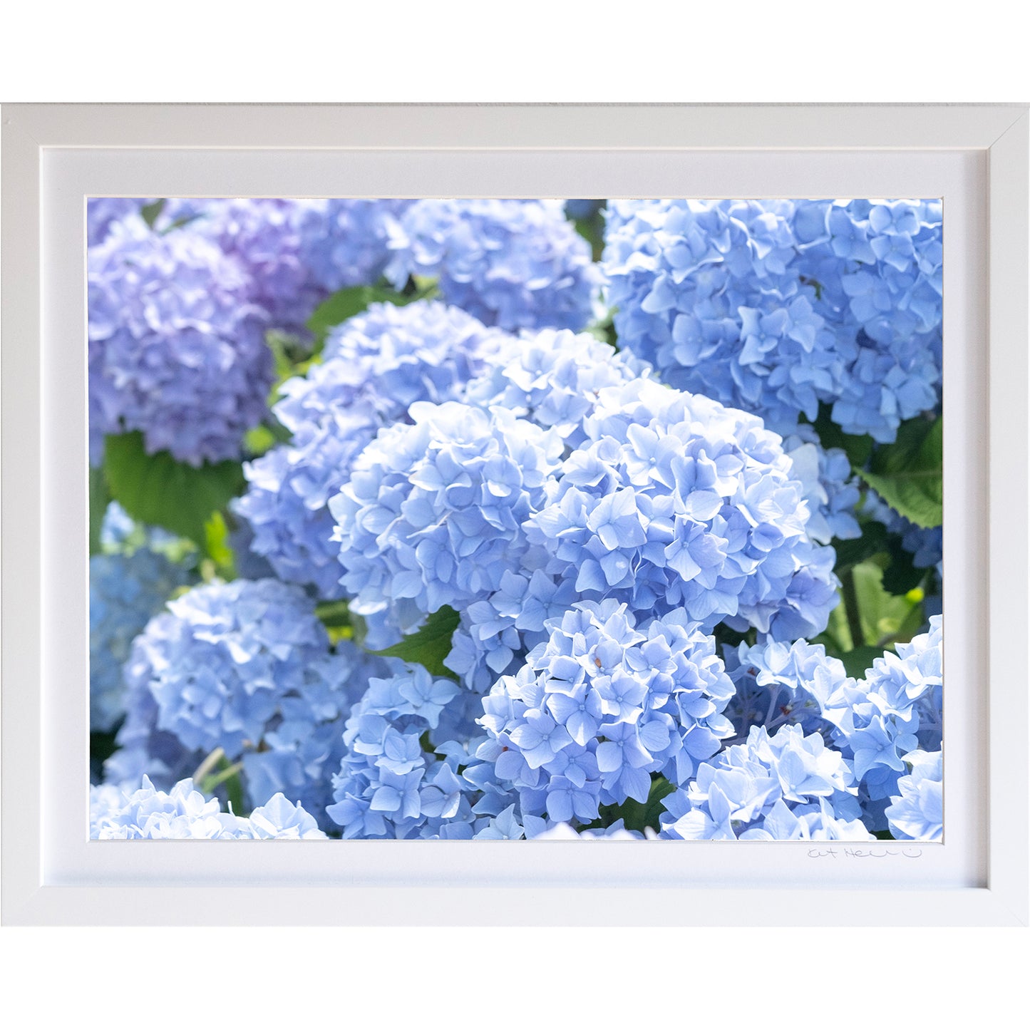 *Mini Prints–Large Horizontal