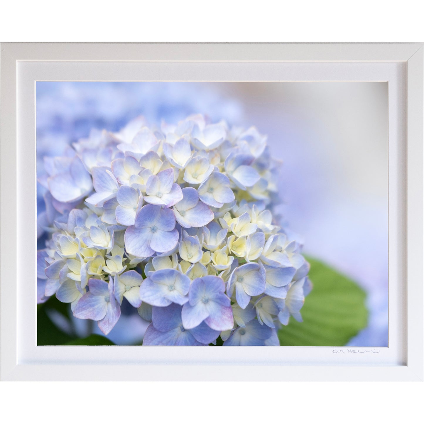 *Mini Prints–Large Horizontal