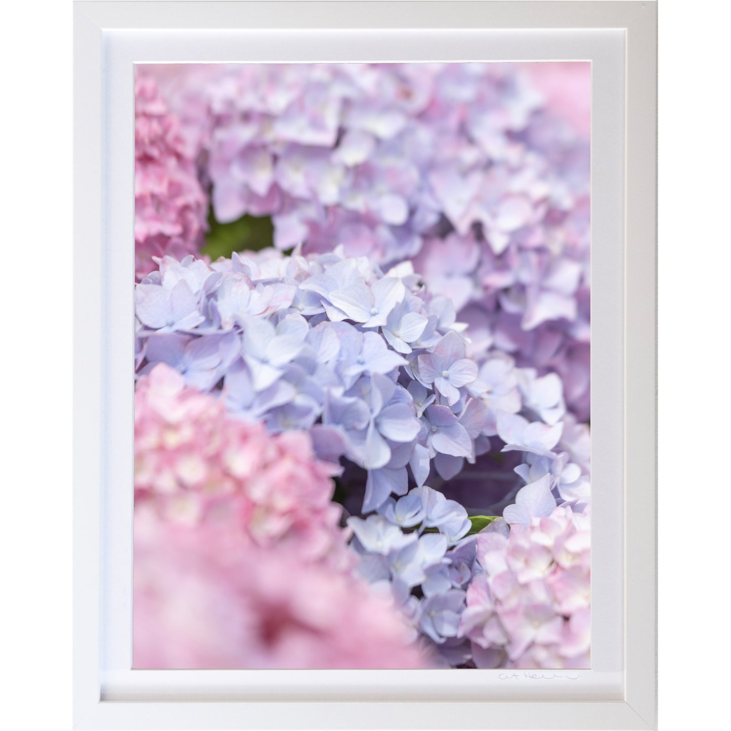 *Mini Prints–Large Vertical