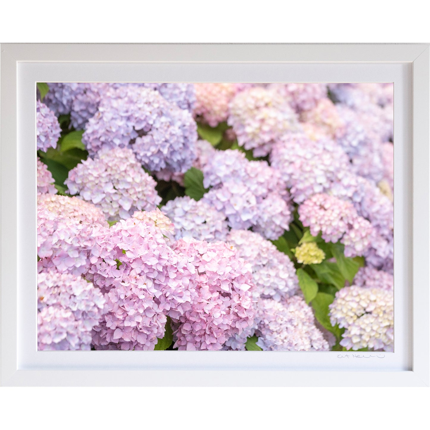 *Mini Prints–Large Horizontal