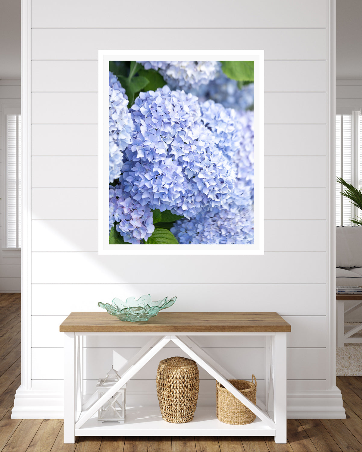 Hydrangeas (LAVENDER)
