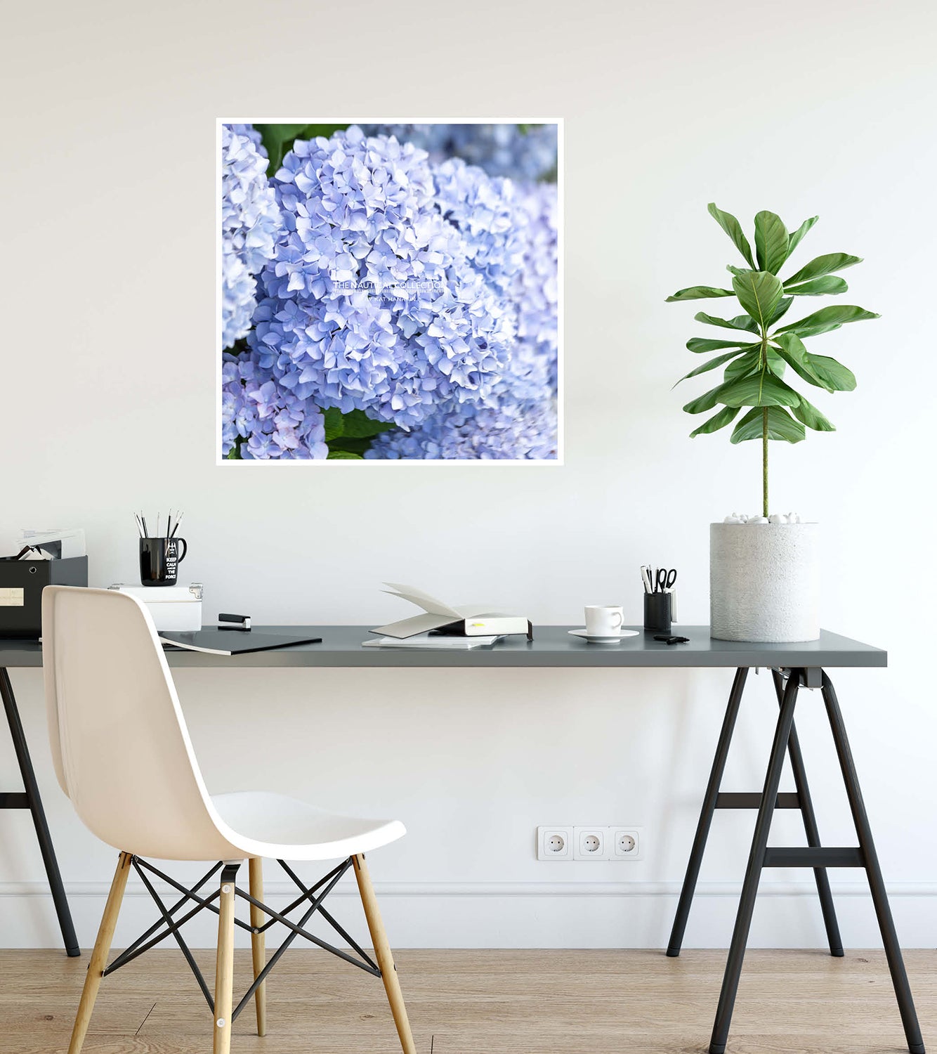 Hydrangeas (LAVENDER)