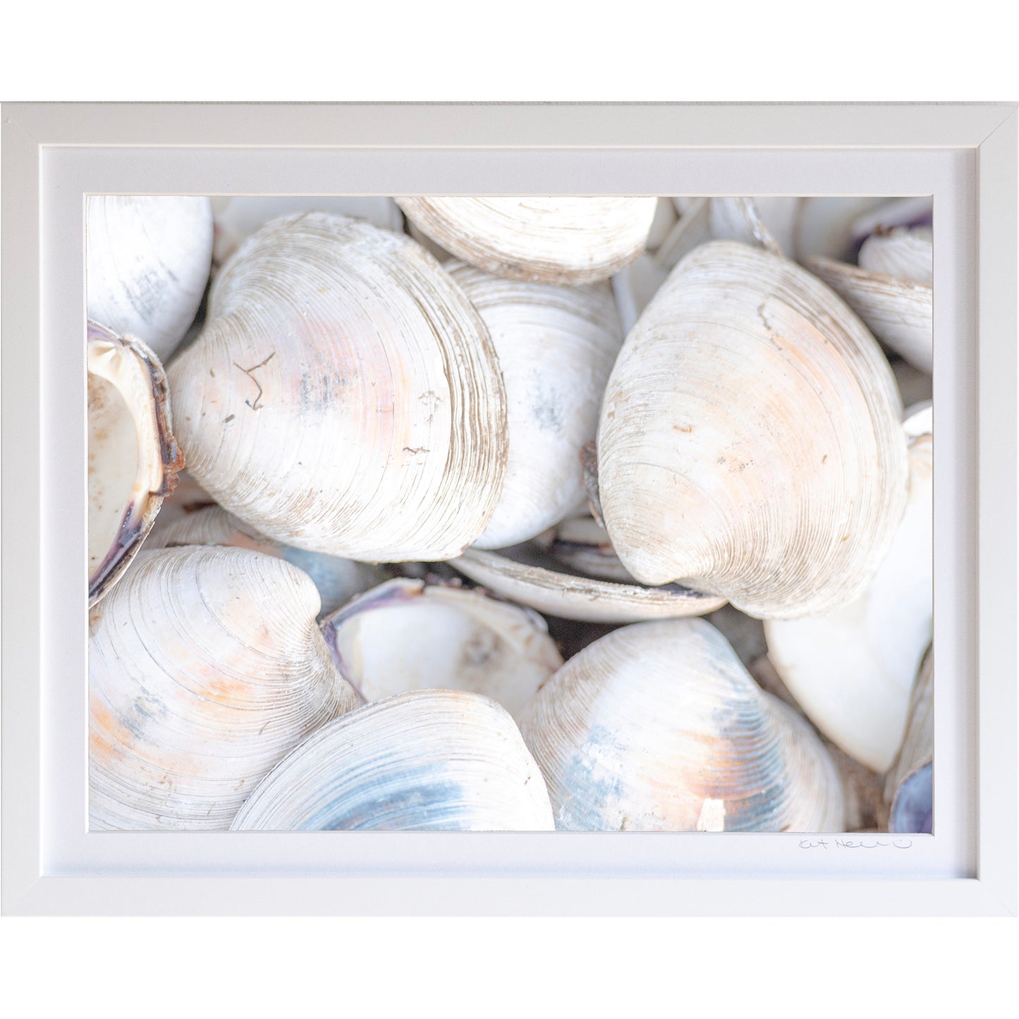 *Mini Prints–Large Horizontal