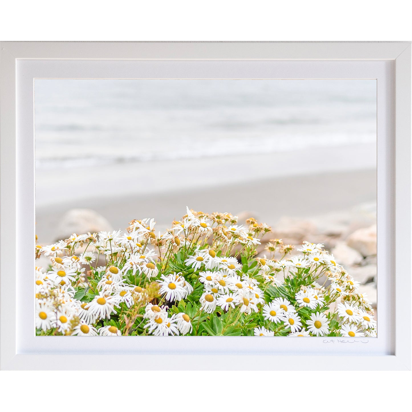 *Mini Prints–Large Horizontal