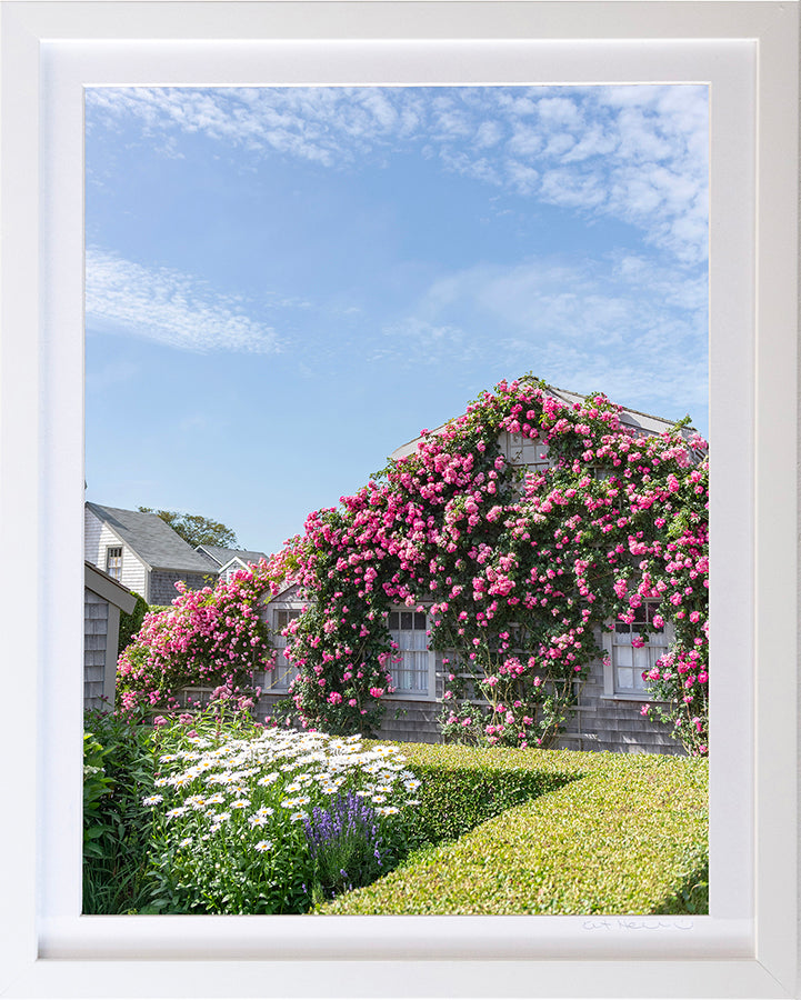 *Mini Prints–Large Vertical