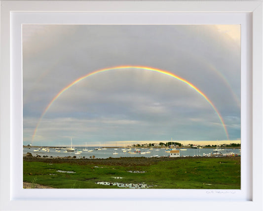 - Harbor Rainbow