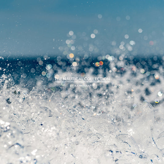 Stellwagen Splash
