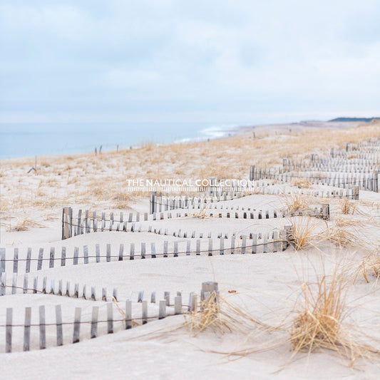 Wintery Dunes