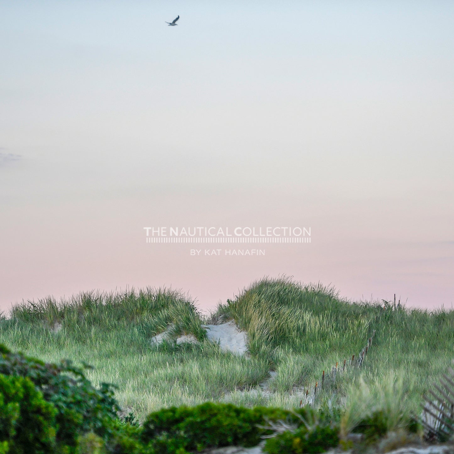Beach Path