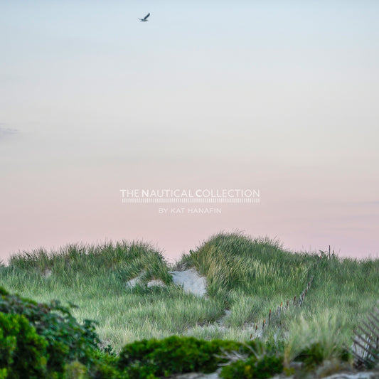 Beach Path