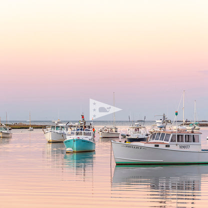 *Mini Prints–Large Vertical