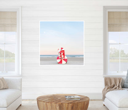 Beach Buoy
