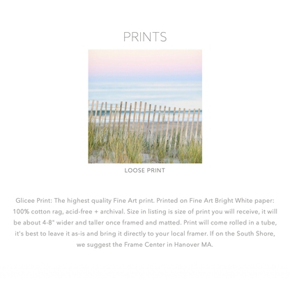 Edgartown Harbor