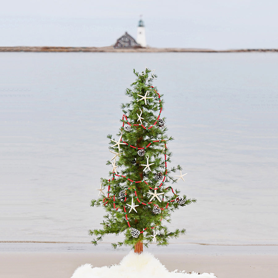 *Coastal Christmas mini prints