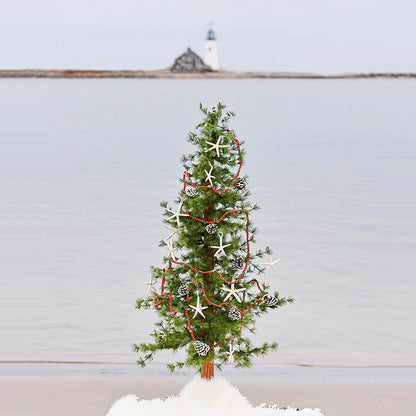 *Coastal Christmas mini prints