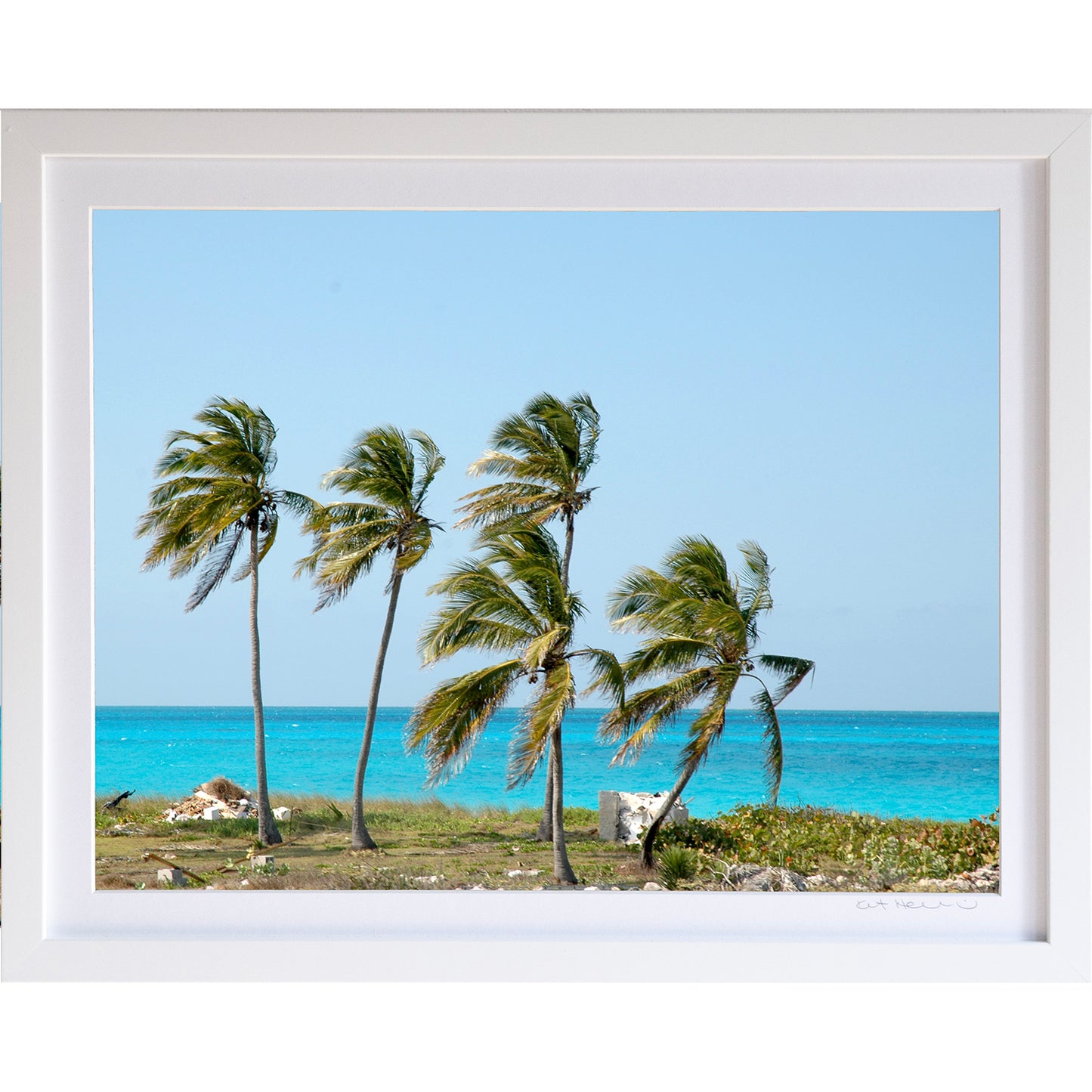 *Mini Prints–Large Horizontal