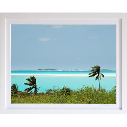 *Mini Prints–Large Horizontal