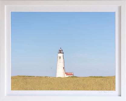 *Mini Prints–Large Horizontal