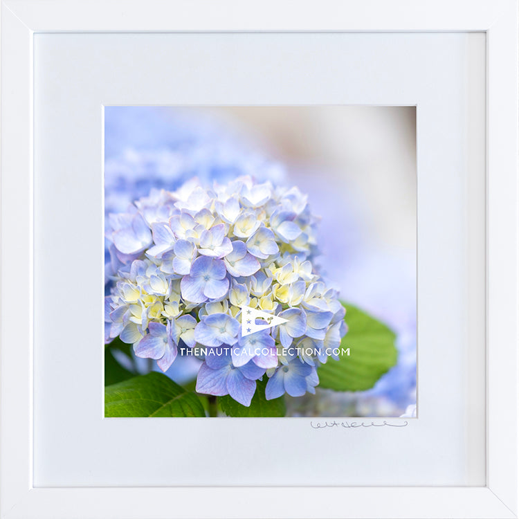 *Mini Print–B–MEDIUM