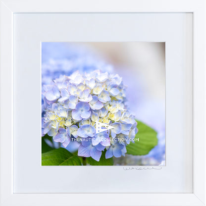 *Mini Print–B–MEDIUM