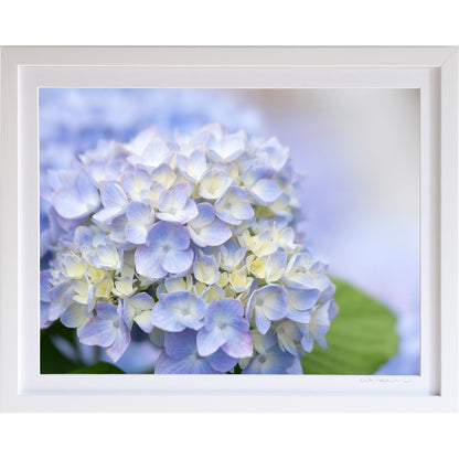 *Mini Prints–Large Horizontal