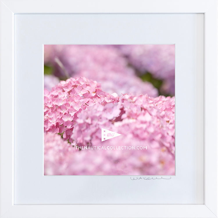 *Mini Print–B–MEDIUM