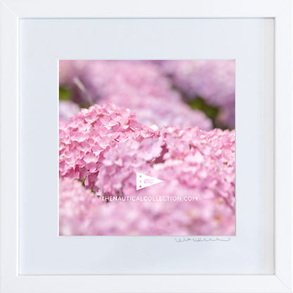 *Mini Print–B–MEDIUM