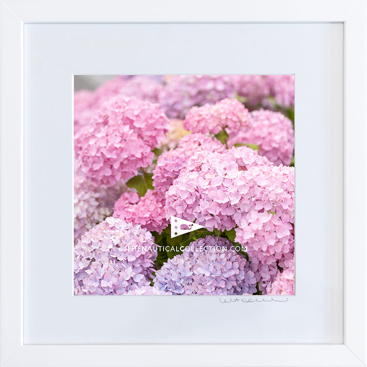 *Mini Print–B–MEDIUM