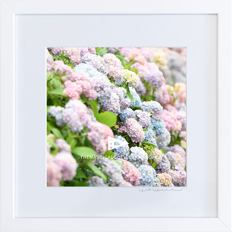 *Mini Print–B–MEDIUM