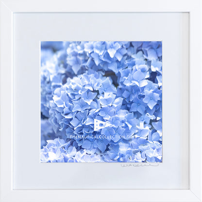 *Mini Print–B–MEDIUM