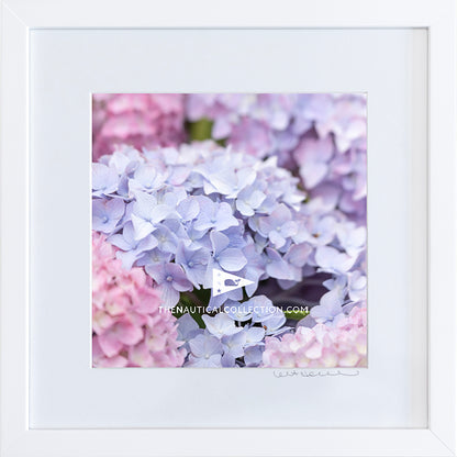 *Mini Print–B–MEDIUM