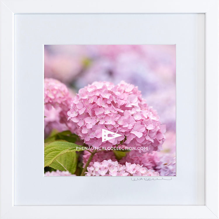 *Mini Print–B–MEDIUM