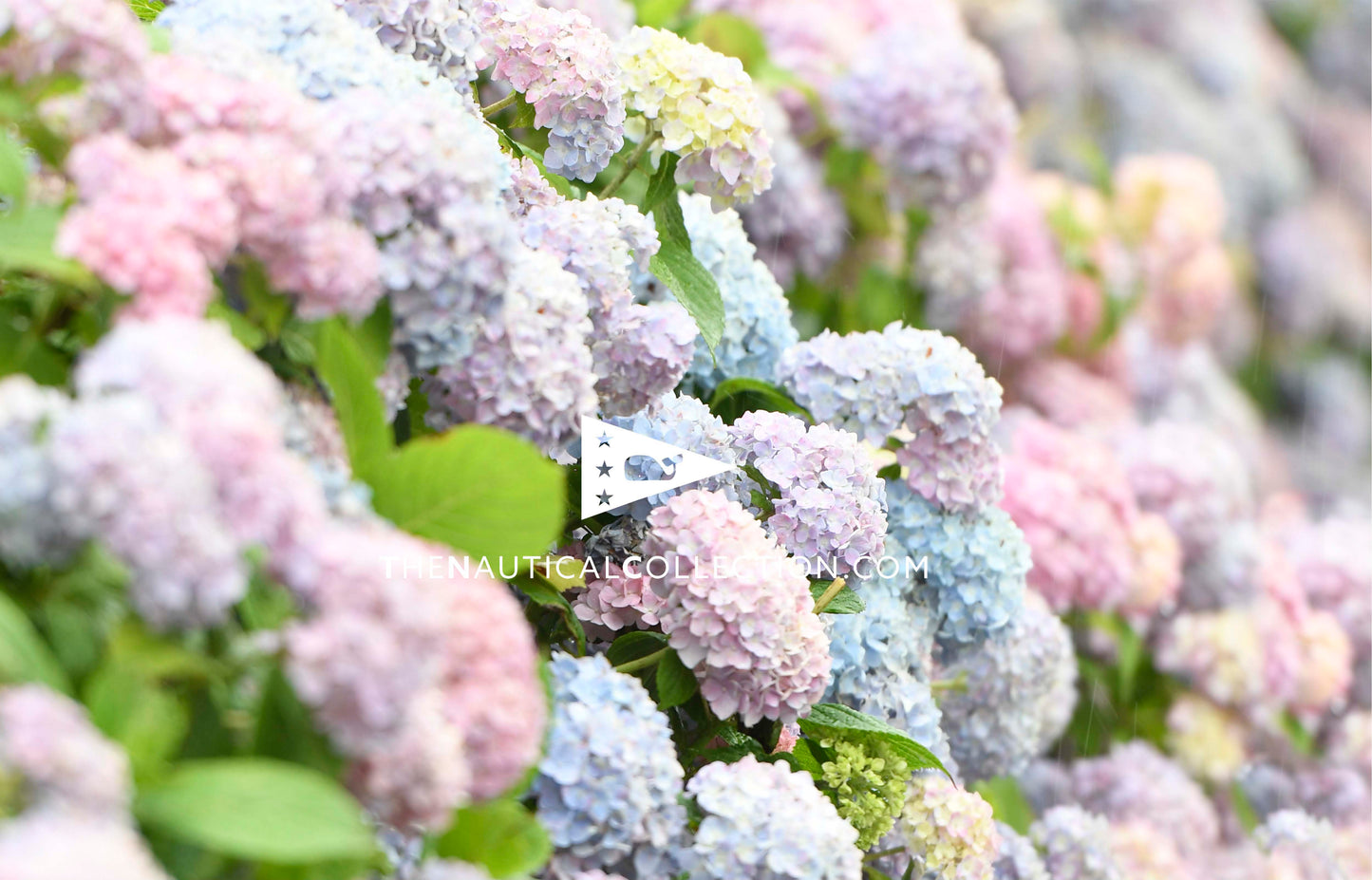 *ACRYLIC TRAY Inserts