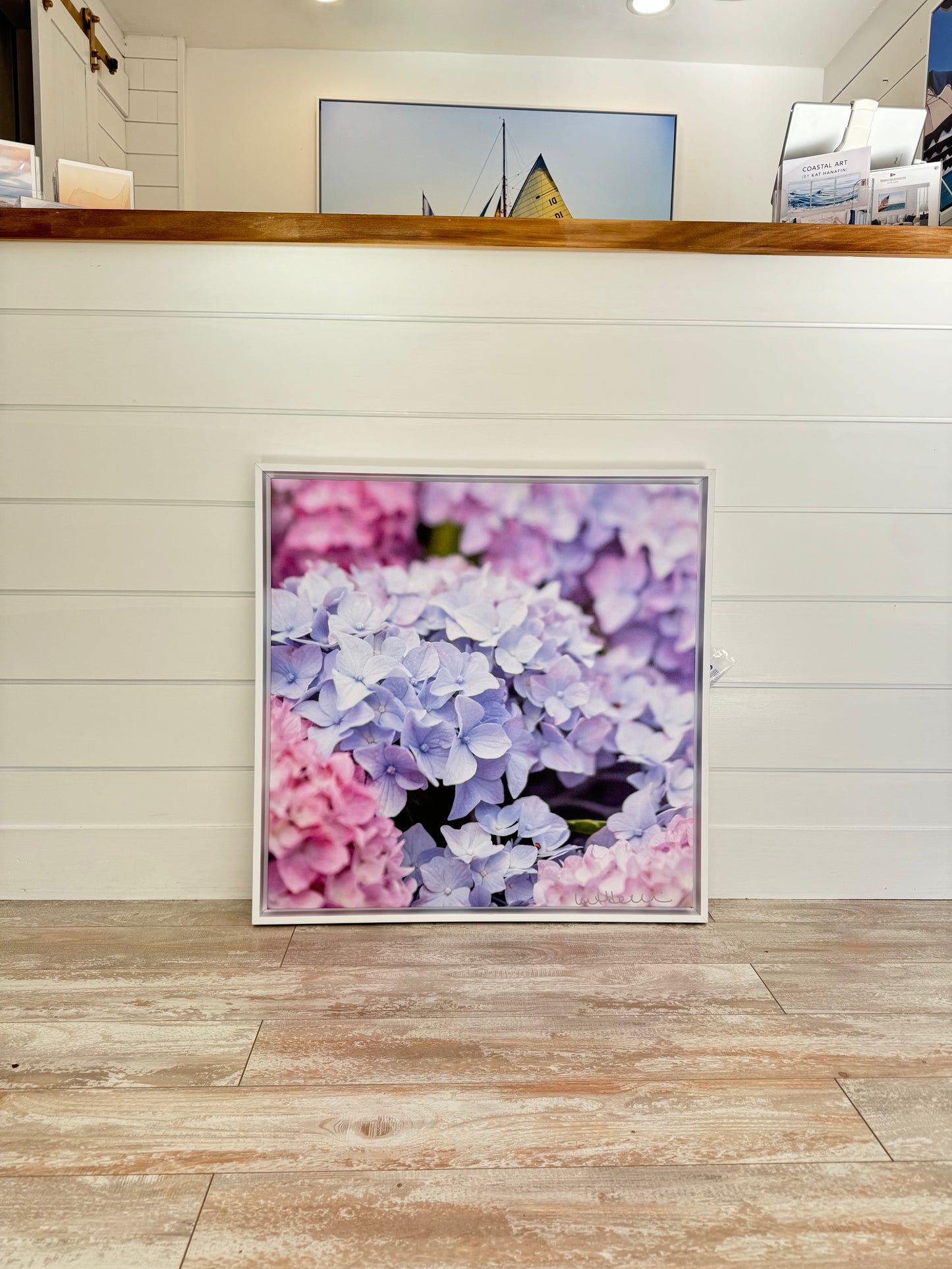 x 25x25 Hydrangeas (Lavender)