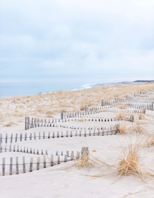 Wintery Dunes