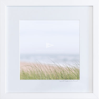 *Mini Print–MED