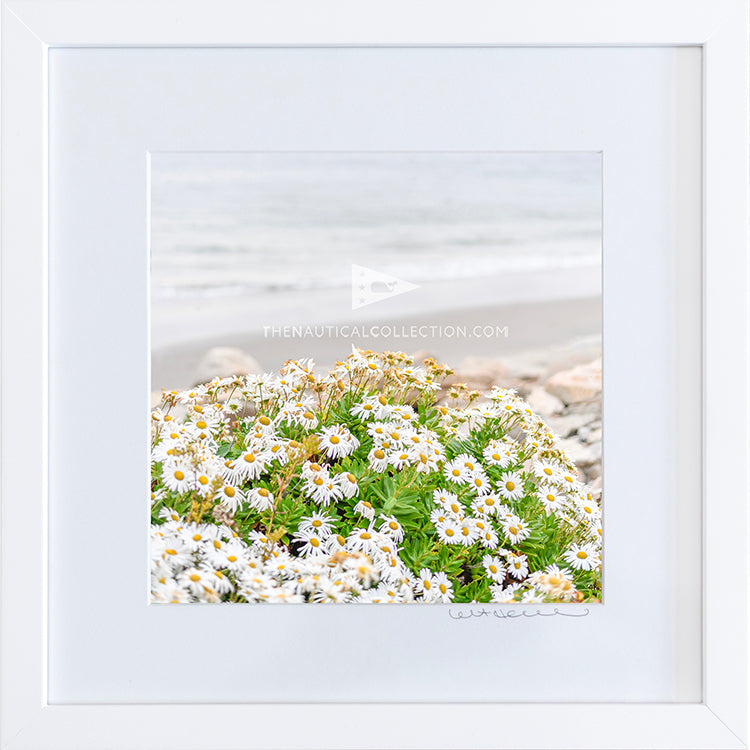 *Mini Print–B–MEDIUM