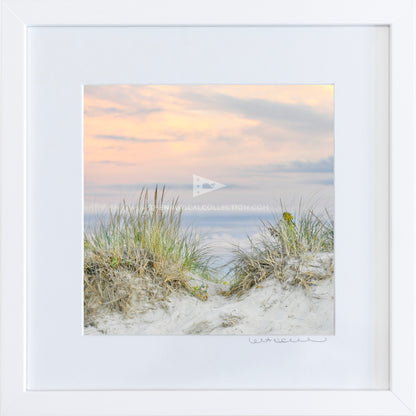 *Mini Print–MED