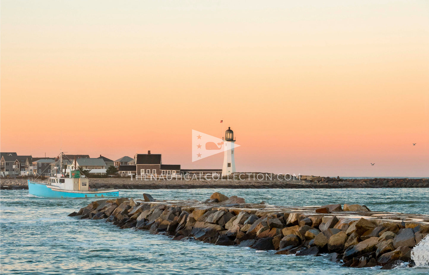 *ACRYLIC TRAY Inserts