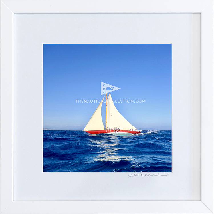*Mini Print–B–MEDIUM