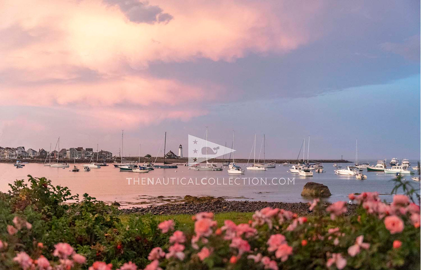 *ACRYLIC TRAY Inserts