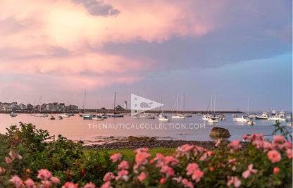 *ACRYLIC TRAY Inserts