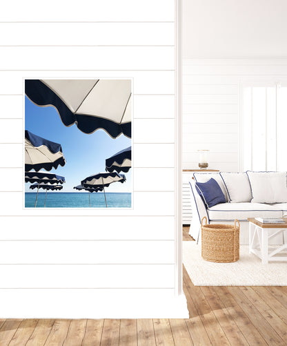 + | SLS26 | 30x36 Sea Scallops