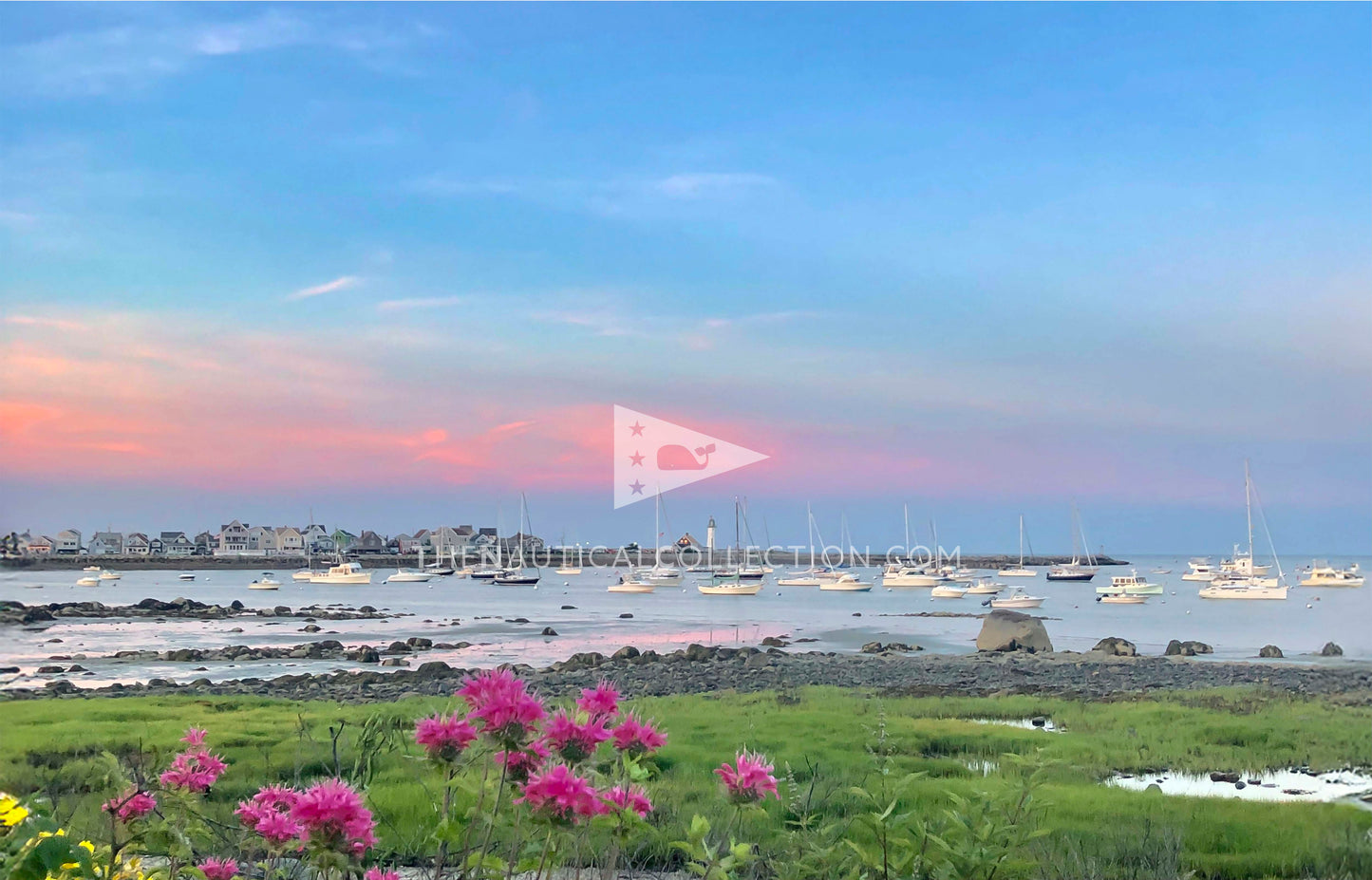 *ACRYLIC TRAY Inserts